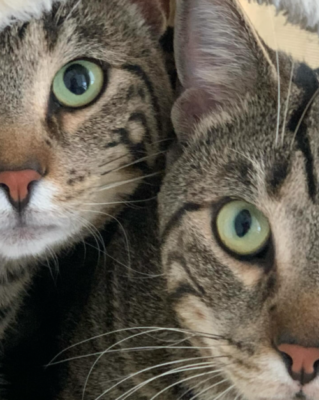 Minn and Luca