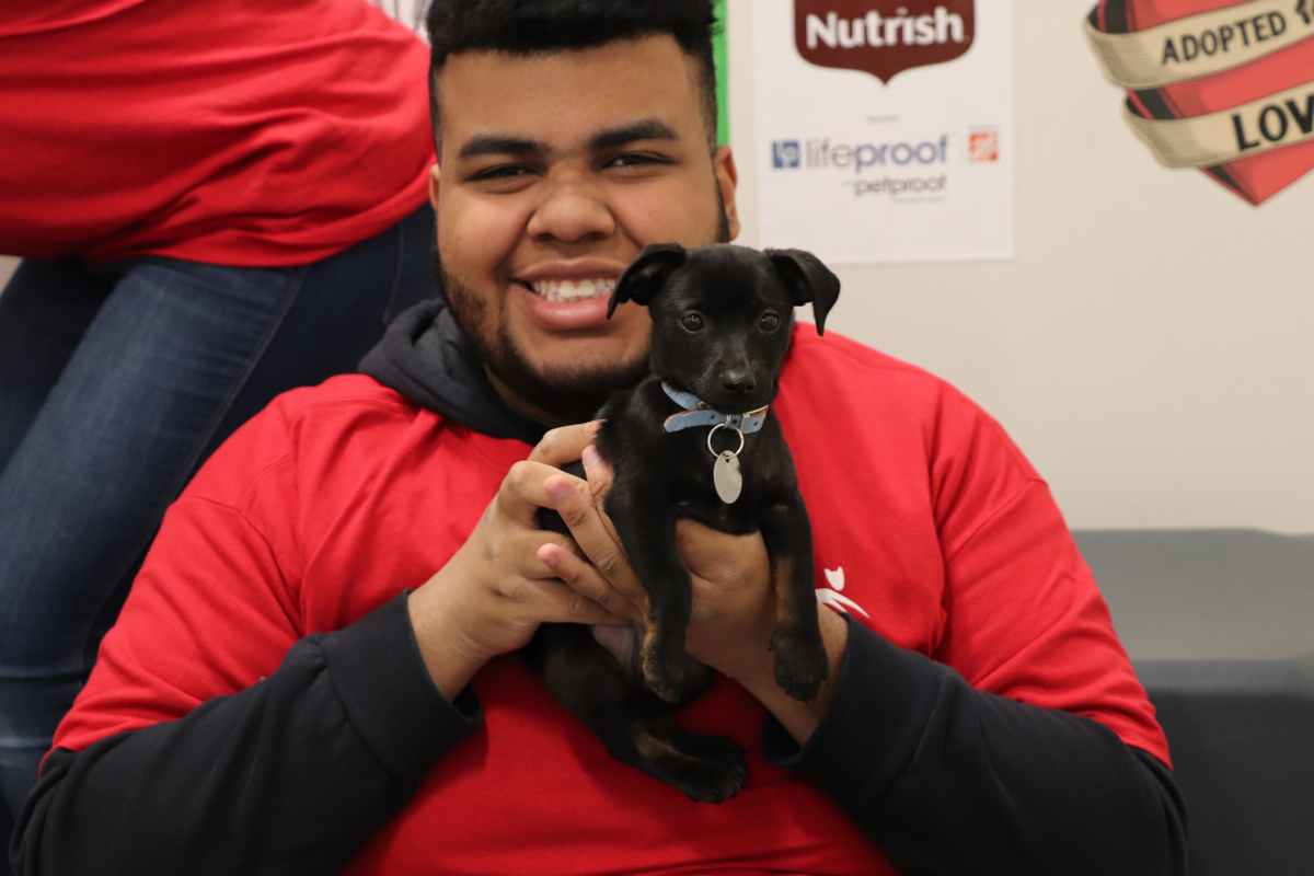 blog-mutti-viscardi-boy-with-pup