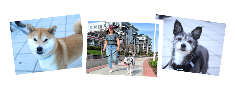 nsala_2025_walkandwag_web_image_livewalk_1b