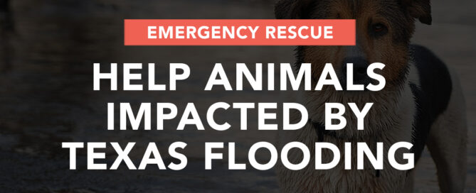 Emergency Rescue