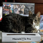 sponsor-pet-jacque-july2025b