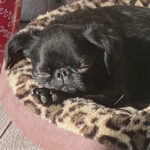mildred