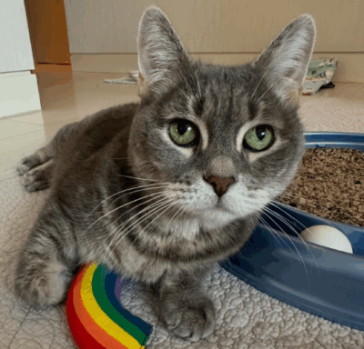 lucy-stern-beths-blog-august-2025
