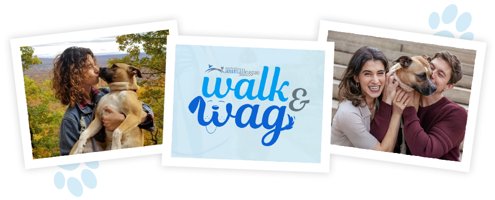 nsala_2025_walkandwag_web_image_ambass_page_1a