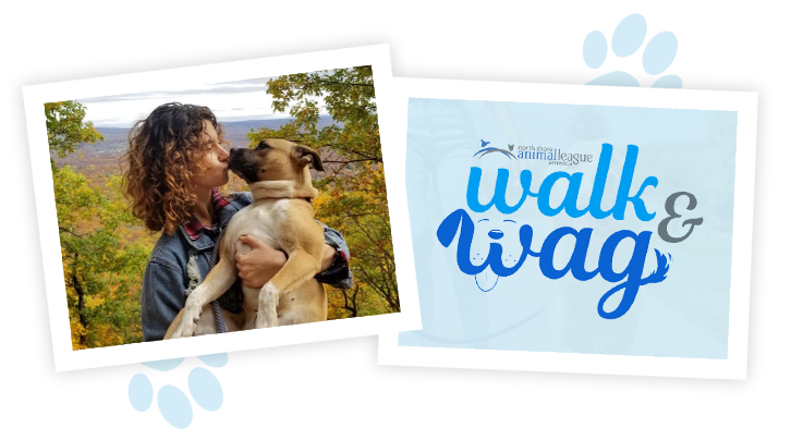 nsala_2025_walkandwag_web_image_ambass_page_1a_mob
