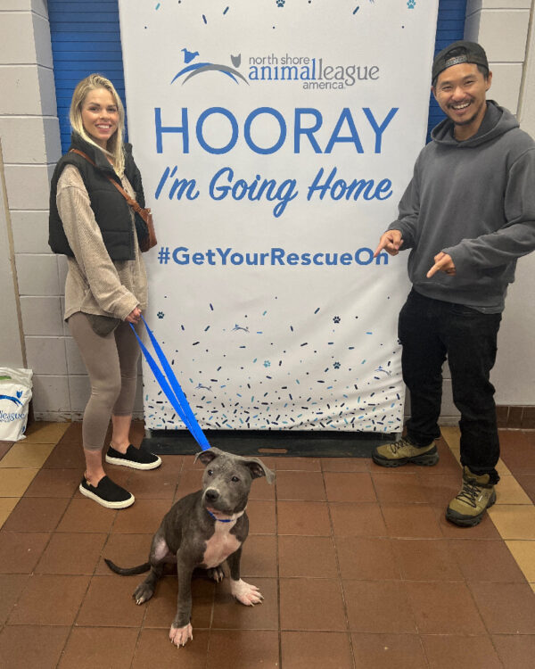 hmh-rosie-adoption-update-092525