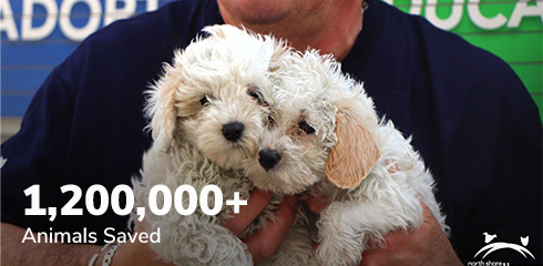 1,200,000+ Animals Saved