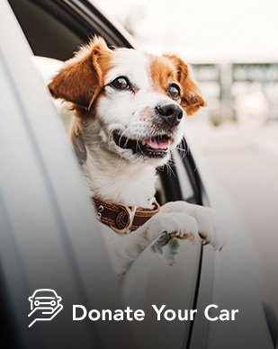Donate Your Car