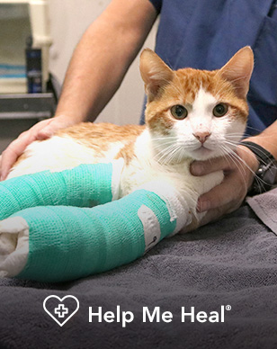 Help Me Heal®