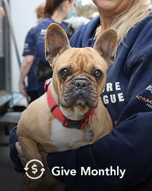 Give Monthly