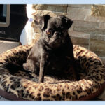Mildred
