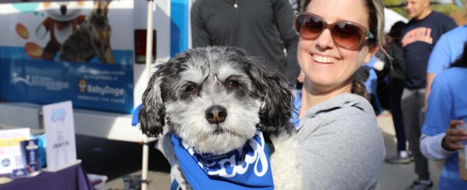 Walk & Wag Recap