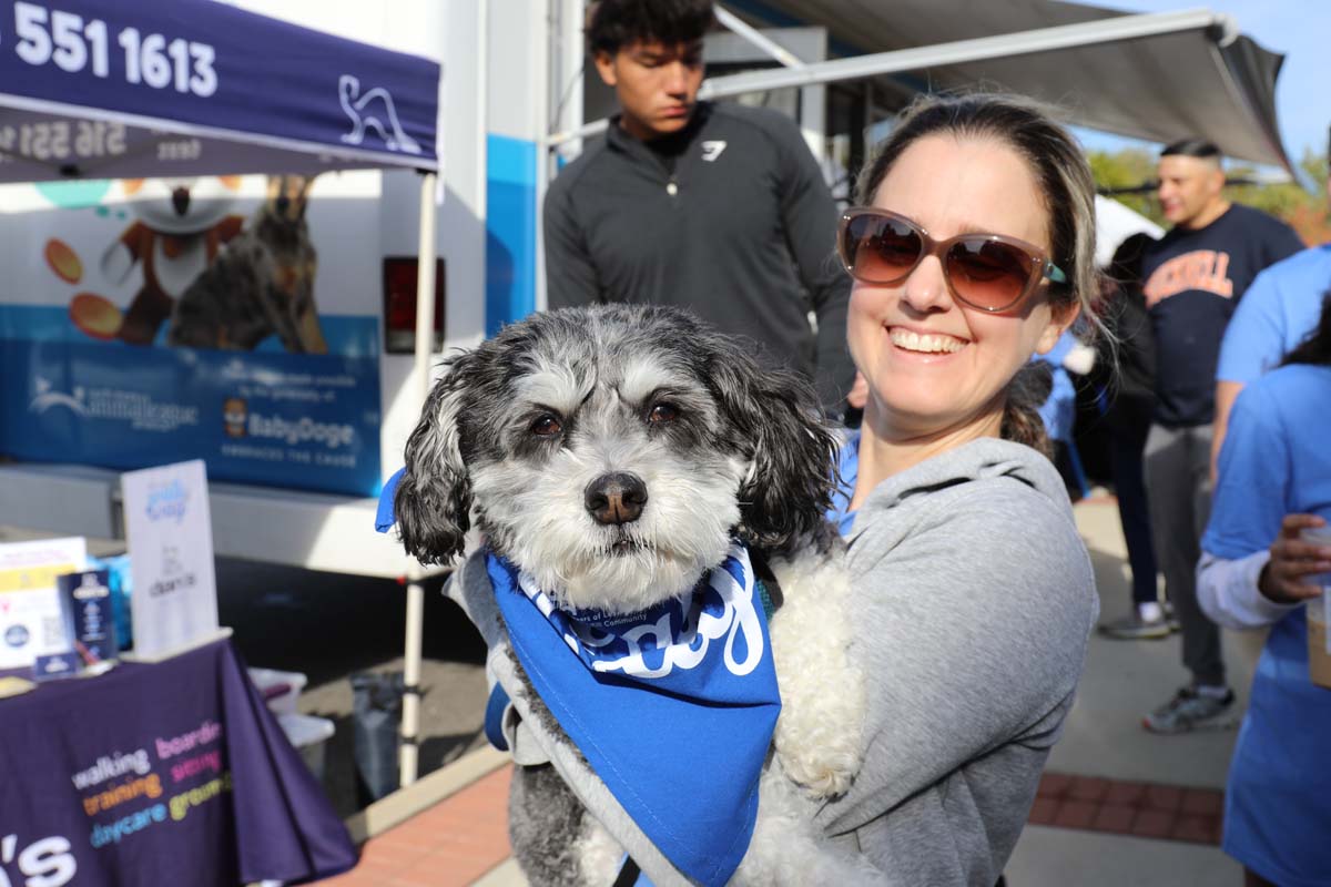 Walk & Wag Recap