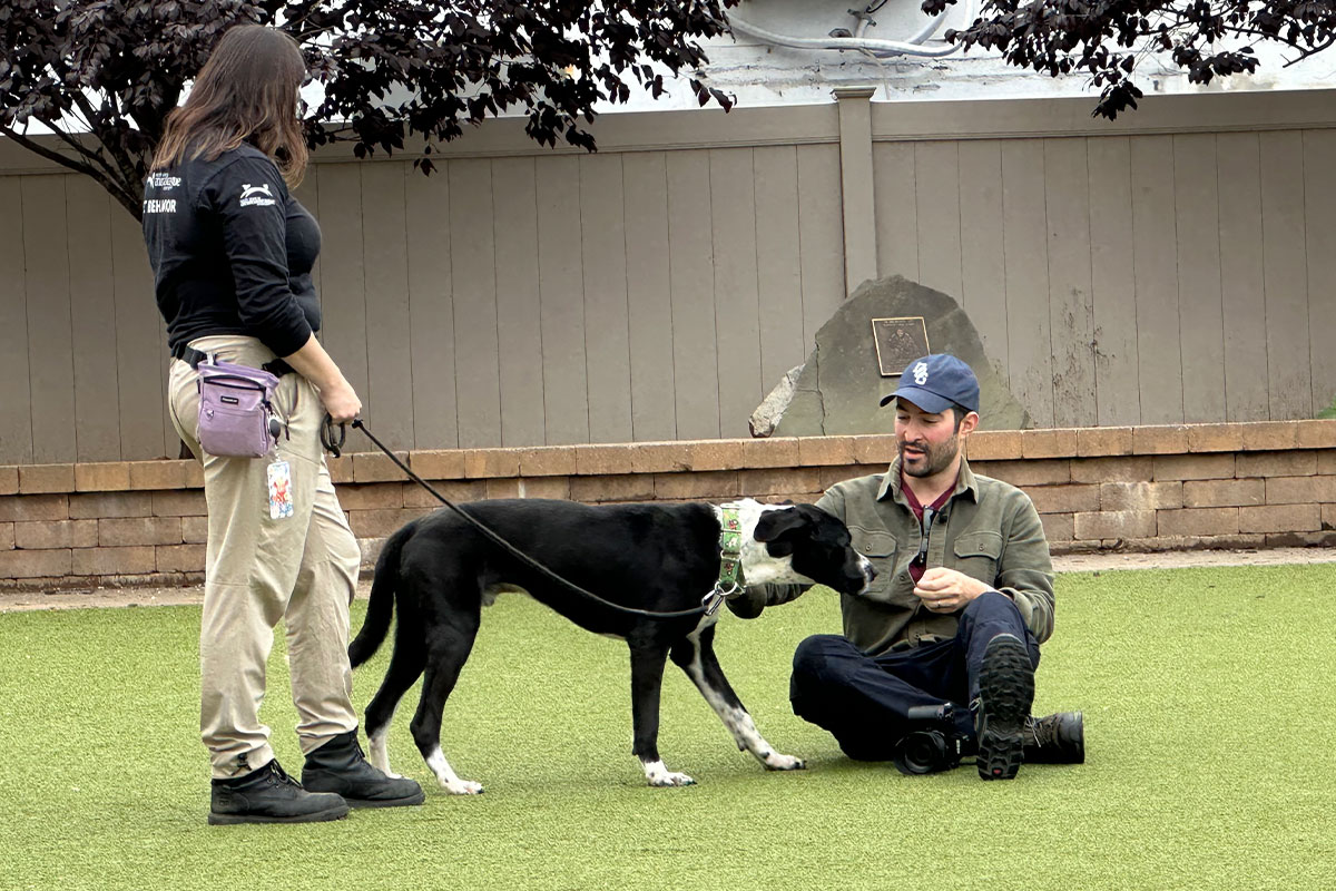 The Dogist