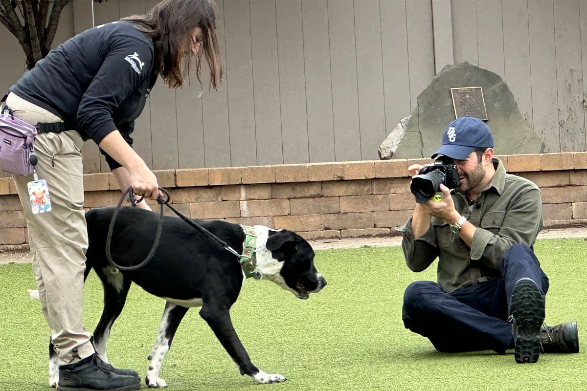 The Dogist