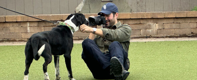The Dogist