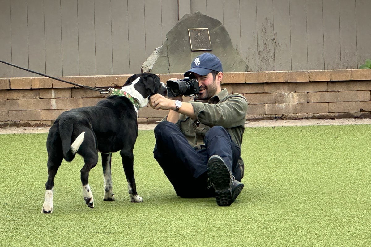 The Dogist