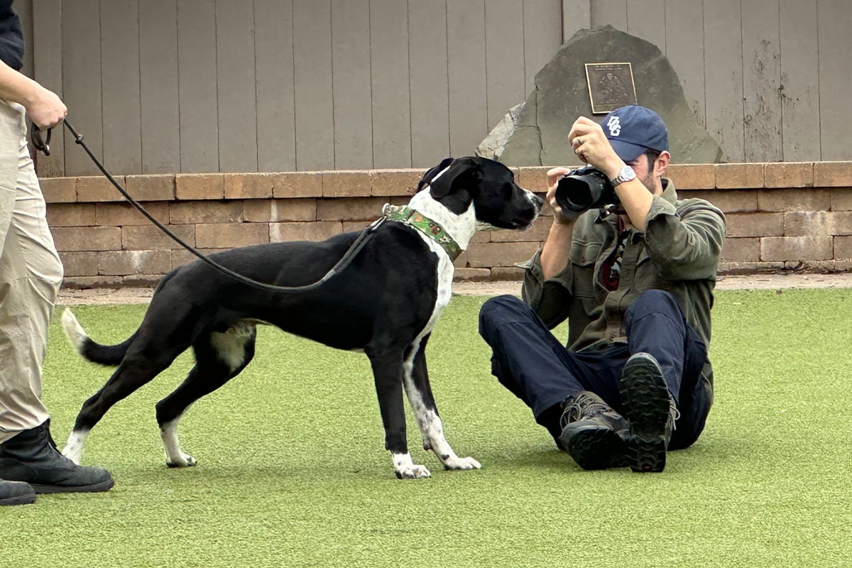The Dogist